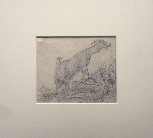 Attributed Robert Hills Original Antique Pencil Drawing Miniature Study of a Goat