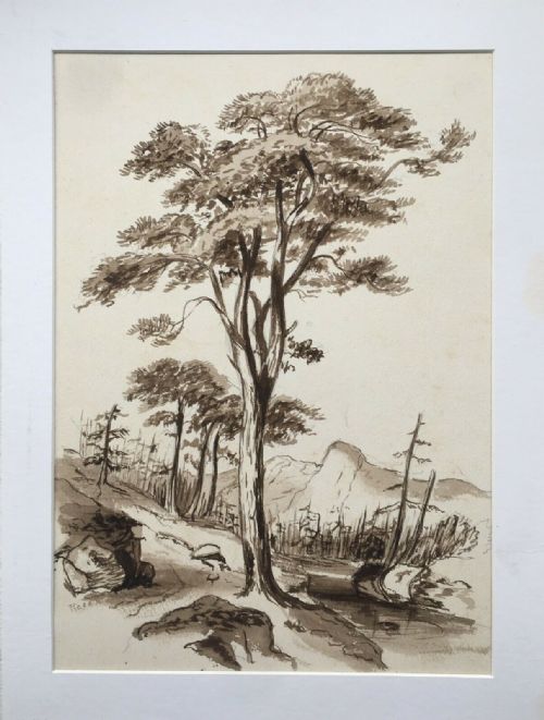 Signed Reed Original Antique Watercolour Ink Painting Tree Landscape Study Pf34