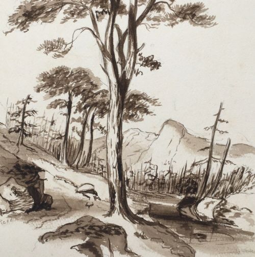 fig 1. Signed Reed Original Antique Watercolour Ink Painting Tree Landscape Study PF34
