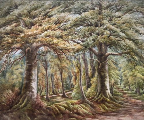 Ollerton Nr Sherwood Forest Original Antique Watercolour Painting Tree Study English Landscape 1