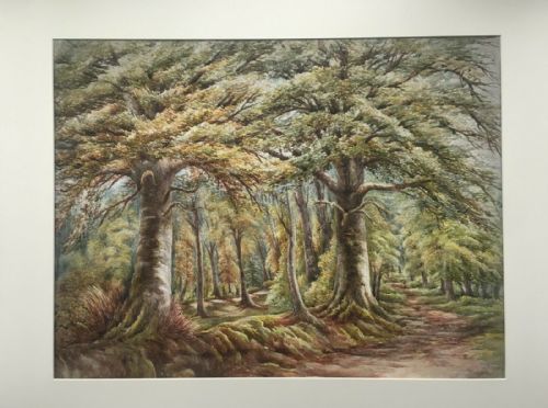 fig 1. Ollerton Nr Sherwood Forest Original Antique Watercolour Painting Tree Study English Landscape 1