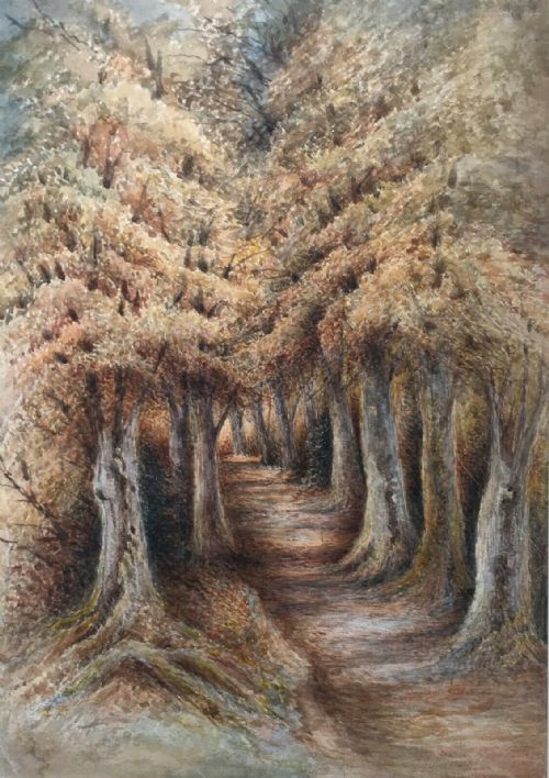 Ollerton Near Sherwood Forest, Original Antique Watercolour Painting Wooded Path