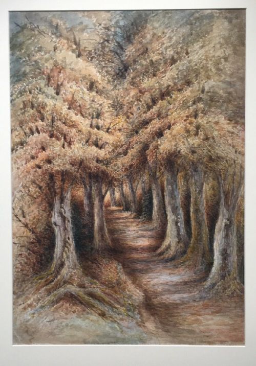 fig 1. Ollerton near Sherwood Forest, Original Antique Watercolour Painting Wooded Path