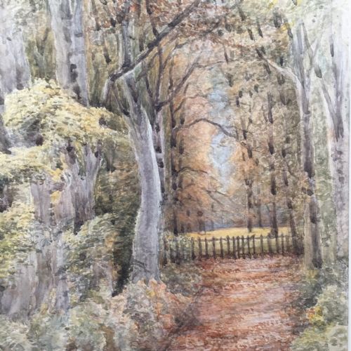 The Wilderness, Ollerton Place, Original Antique Watercolour Painting Tree Study