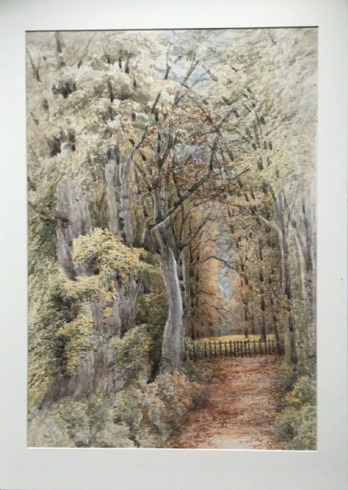 fig 1. The Wilderness, Ollerton Place, Original Antique Watercolour Painting Tree Study