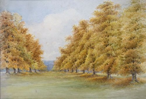 Signed Verso Etw, Original Antique Watercolour Painting Tree Landscape Study
