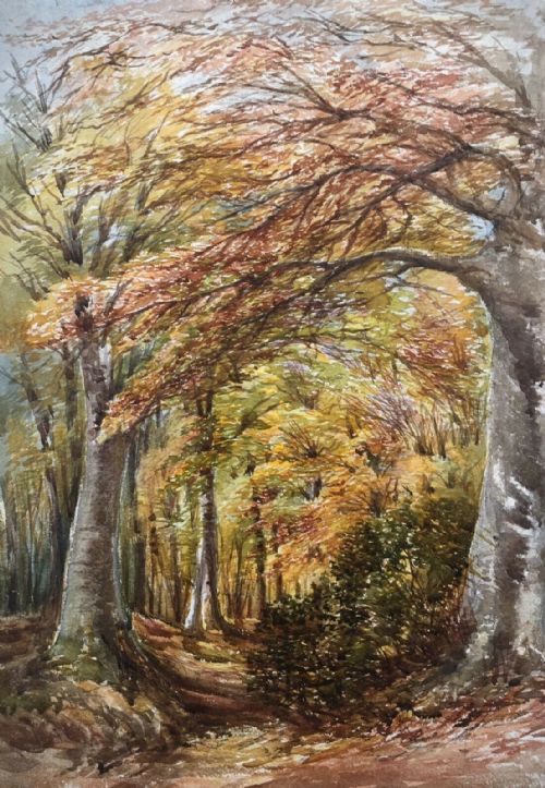 Ollerton Nr Sherwood Forest, Original 19th Century Antique Watercolour Painting Autumn Tree Study 2