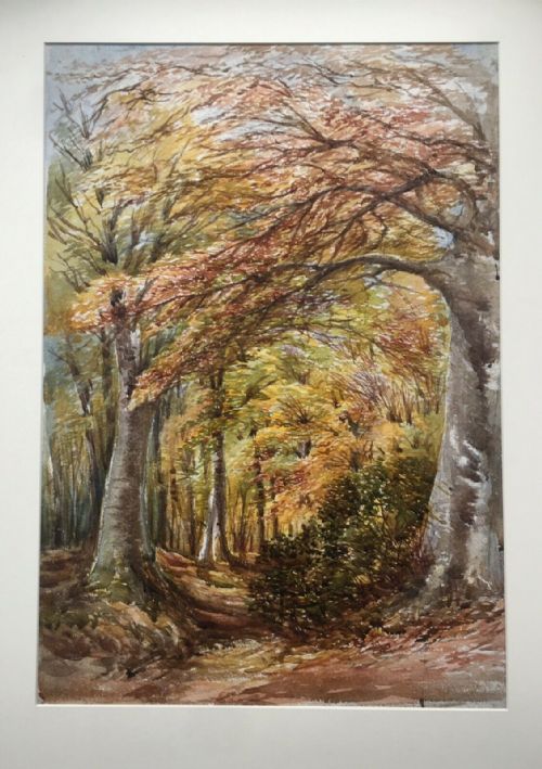 fig 1. Ollerton Nr Sherwood Forest, Original 19th Century Antique Watercolour Painting Autumn Tree Study 2