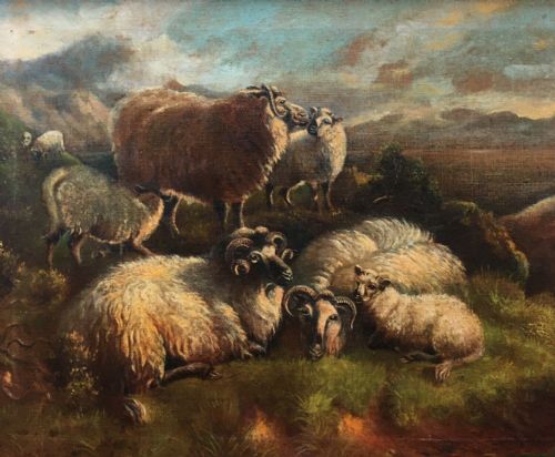 fig 1. Original Antique Signed c19th Oil Painting on Canvas Sheep Resting with Lambs Scottish Highland Landscape