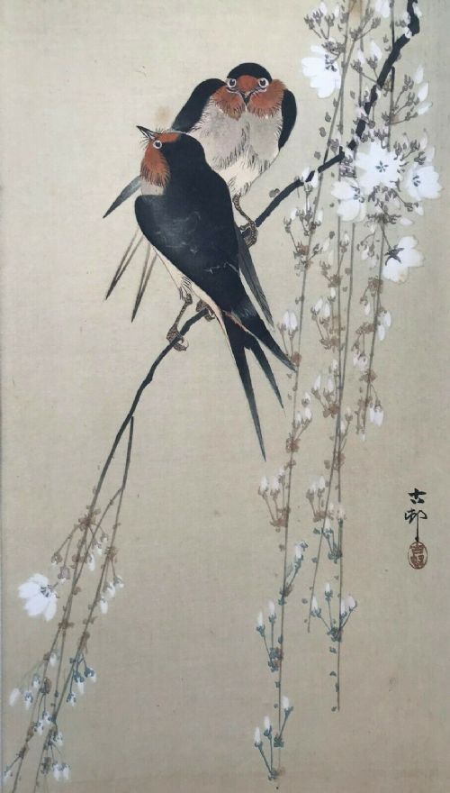 Chinese School Original Signed Antique Watercolour Painting Birds on a Blossom Branch