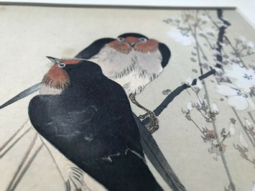 fig 1. Chinese School Original Signed Antique Watercolour Painting Birds on a Blossom Branch