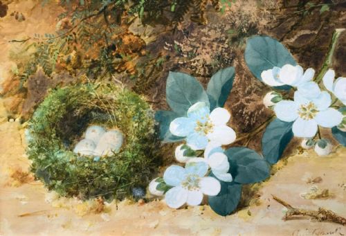 William Cruikshank Rca Signed Original Antique Still Life Watercolour Painting Bird Nest with Blossom