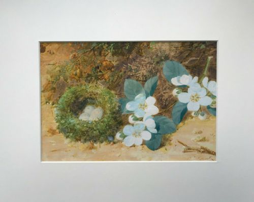 fig 1. William Cruikshank RCA Signed Original Antique Still Life Watercolour Painting Bird Nest with Blossom