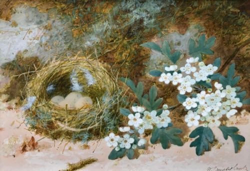 William Cruikshank Rca Signed Original English Antique Watercolour Painting Bird Nest & Eggs