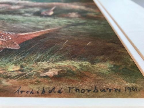 fig 1. Manner of Archibald Thorburn bears Signature Original Antique English Watercolour Painting Pheasants in a Woodland Landscape