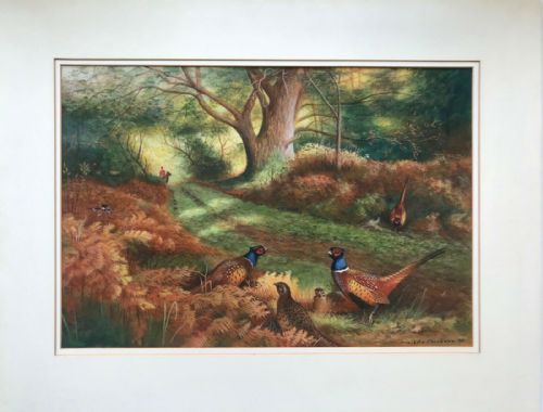 fig 2. Manner of Archibald Thorburn bears Signature Original Antique English Watercolour Painting Pheasants in a Woodland Landscape