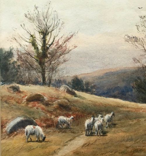 fig 2. John H Cole RCA Original Watercolour Painting Welsh Wales Sheep Landscape