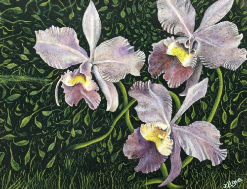 James Lloyd (1905-1974) Signed Original Mid 20th Century English Gouache Painting Still Life Flowers Iris