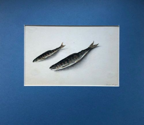Original 1865 Dated Antique Watercolour Painting Still Life Study of Two Fish
