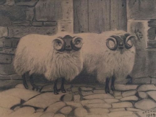 Jt Cross Signed 1904 Original English Antique Charcoal Pencil Sketch Drawing of Rams in a Farmyard