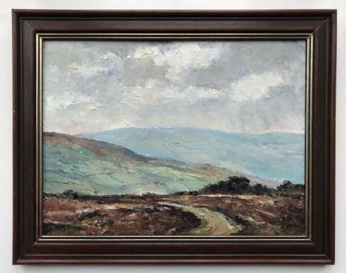 Ken Johnson Signed Original Oil Painting on Board  Sleights from Red Gates Nr Whitby North Yorkshire Moors Landscape