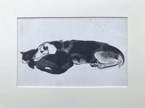 Original Black & White Ink on Card Drawing of Dog and Cat Resting