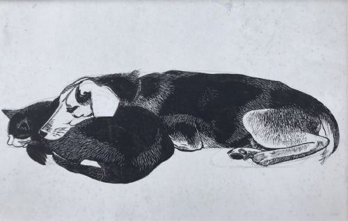 fig 1. Original Black & White Ink on Card Drawing of Dog and Cat resting