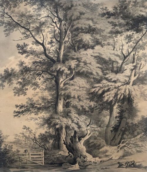 English School Original Early 19th Century Antique Grisaille Watercolour Painting Elm Tree & Figure Sleeping Country Landscape