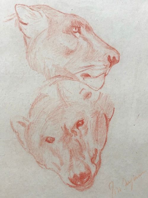 John Macallan Swan Ra Original Late 19th Century Antique Pastel Drawings of a Lioness & Polar Bear