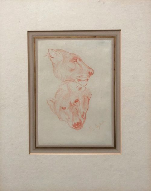 fig 1. John MaCallan Swan RA Original Late 19th Century Antique Pastel Drawings of a Lioness & Polar Bear