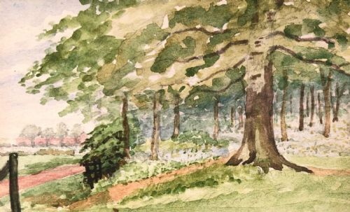 Original Ww1 Antique Watercolour Landscape Painting Bluebells in Copmanthorpe Woods Near York