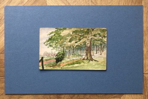 fig 1. Original WW1 Antique Watercolour Landscape Painting Bluebells in Copmanthorpe Woods Near York