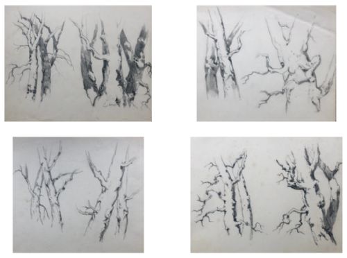 4 X Original 19th Century Antique Pencil Drawings Oak & Tree Artist Study Sketches