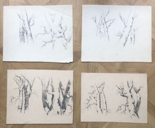 fig 1. 4 x Original 19th century Antique Pencil Drawings Oak & Tree Artist Study Sketches