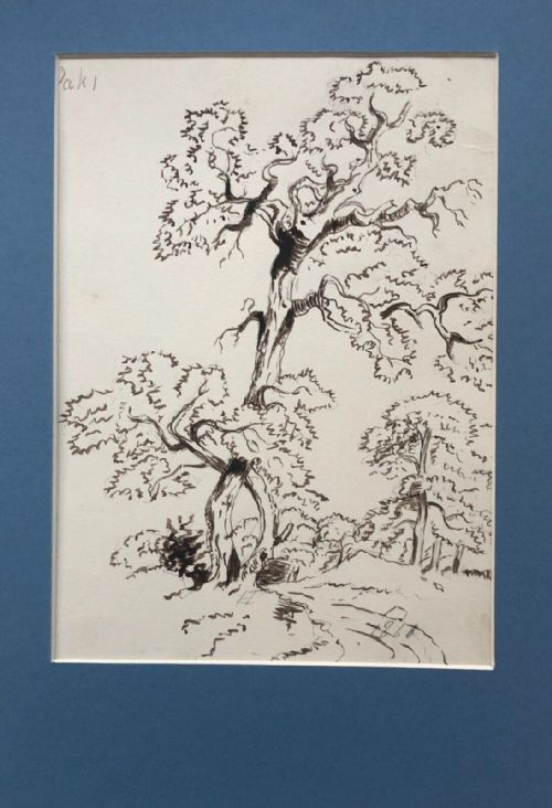 Monogrammed 1868 Original 19th Century Antique Pencil & Ink Drawing Oak Tree Study