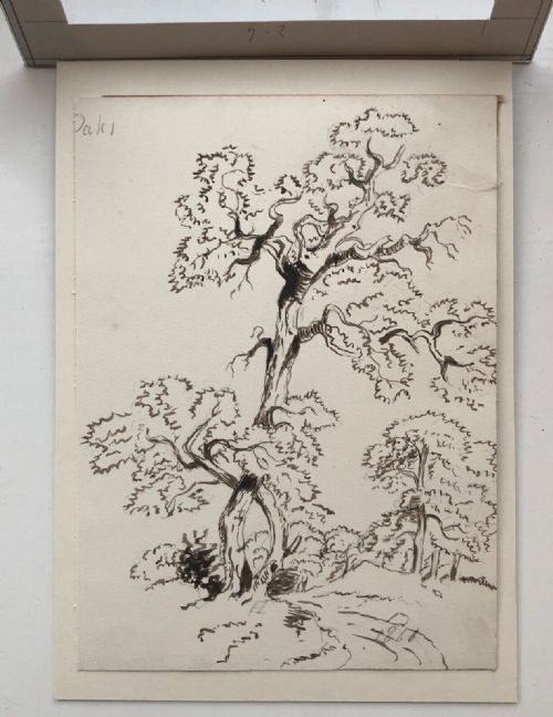 fig 1. Monogrammed 1868 Original 19th century Antique Pencil & Ink Drawing Oak Tree Study