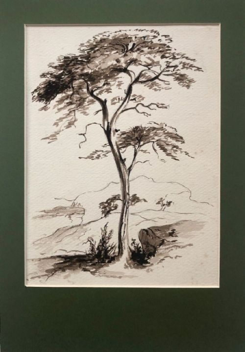 Original 19th Century Antique Pencil & Ink Drawing Tree & Landscape Study