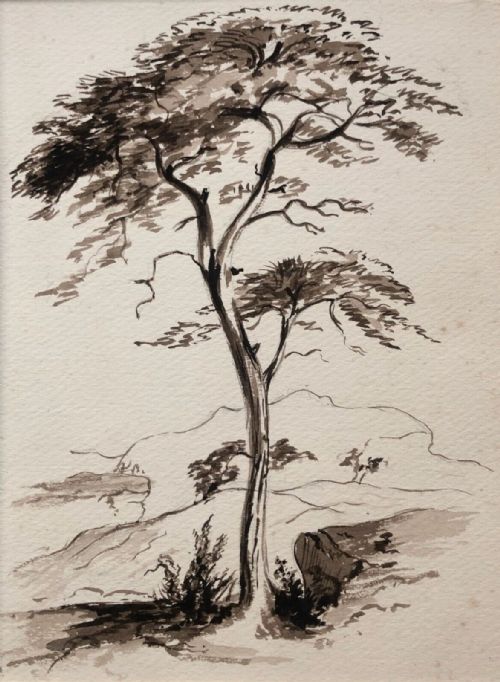 fig 1. Original 19th century Antique Pencil & Ink Drawing Tree & Landscape Study