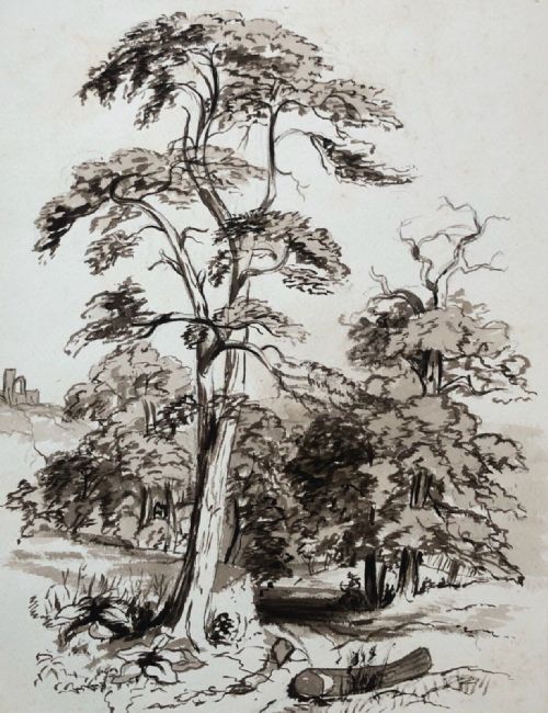 Original Blind Stamped 19th Century Antique Pen & Ink Drawing Tree & Landscape Study