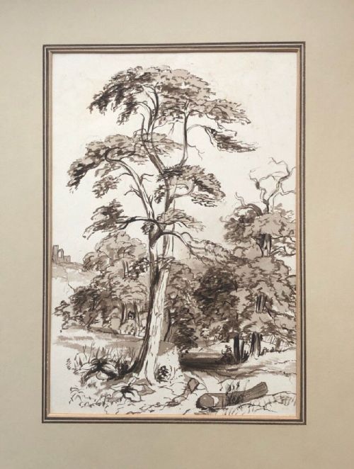 fig 1. Original Blind Stamped 19th century Antique Pen & Ink Drawing Tree & Landscape Study