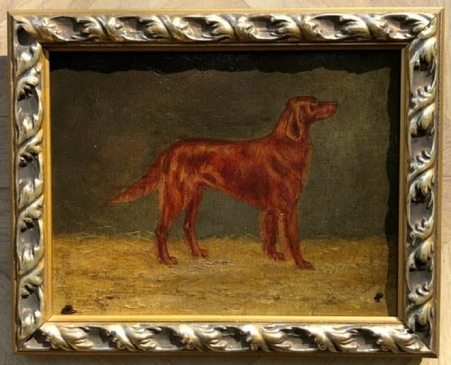 Indistinctly Signed Original 20th Century Antique Oil Painting on Canvas English Red Setter Dog Portrait