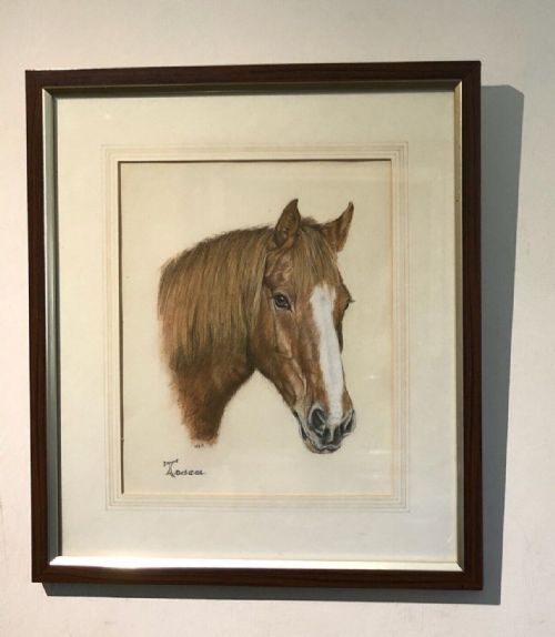 fig 1. Indistinctly Signed Mid 20th Century Original Vintage Pastel Horse Portrait Study titled 'Tosca'