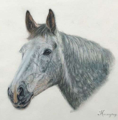 Indistinctly Signed Original Vintage Pastel Portrait Horse Study Inscribed 'Hungry'