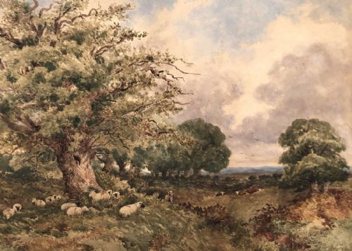David Cox 1843 Signed Original Mid 19th Century English Watercolour Painting Extensive Tree & Sheep Country Landscape