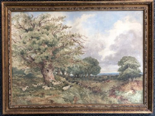 fig 1. David Cox 1843 Signed Original Mid 19th Century English Watercolour Painting Extensive Tree & Sheep Country Landscape