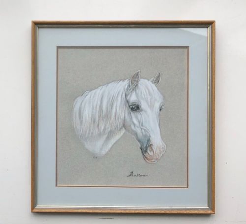 fig 1. Original Indistinctly signed mid to late 20th Century Vintage Pastel Study of a White Horse , inscribed 'Buttons'