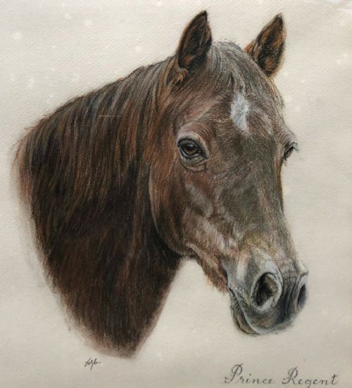 Original Indistinctly Signed Mid 20th Century Vintage Pastel Horse Portrait Study Inscribed Prince Regent
