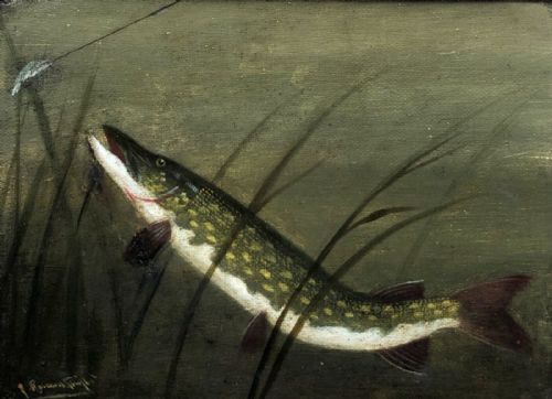 A Rowland Knight Signed Original 19th Century Antique Oil Painting on Canvas Fishing Angling Study of a Pike
