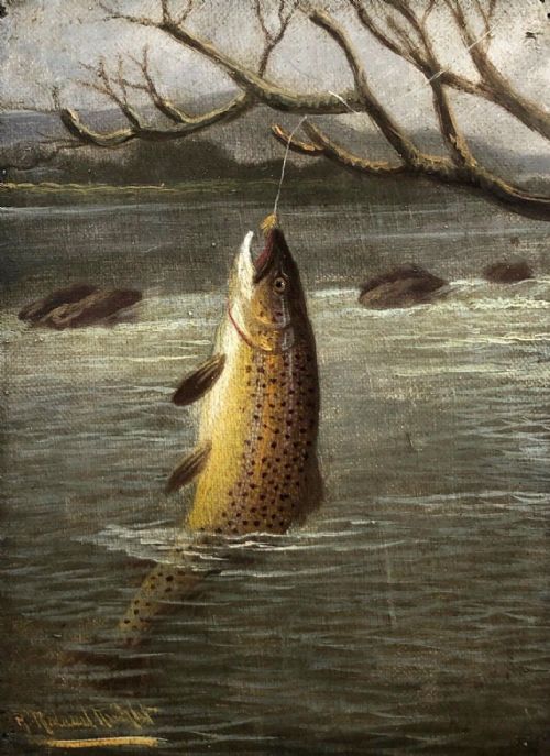 A Rowland Knight Signed Original Late 19th Century Antique Oil Painting on Canvas Fishing Angling Study of a Hooked Trout