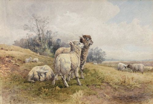 William H Pigott (18)84 Signed Original 19th Century Antique Watercolour Painting Sheep & Lambs English Countryside Landscape